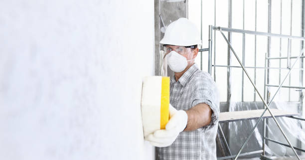 Best Mold Prevention Services in Monona, WI