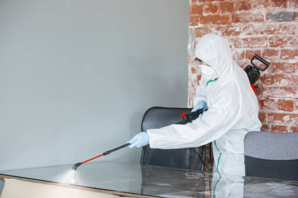 Best Water Damage & Mold Remediation in Monona, WI