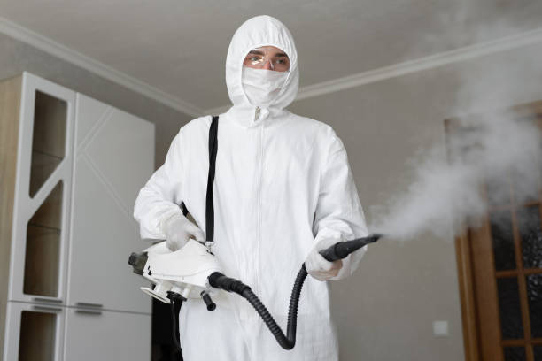 Why You Should Choose Our Mold Remediation Services in Monona, WI